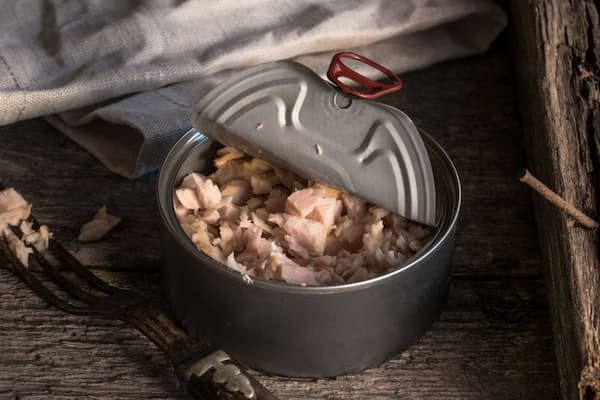 تصویر 5 از قیمت تن ماهی ساده + خرید باور نکردنی